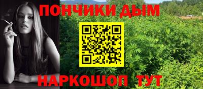 крисы Гулькевичи