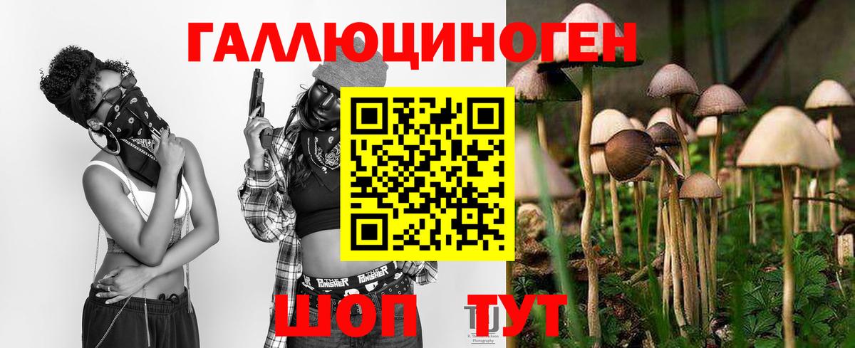 наркота  Галлюциногенные грибы Psilocybe  Вход с VPN  Галлюциногенные грибы MAGIC MUSHROOMS  Гусев 